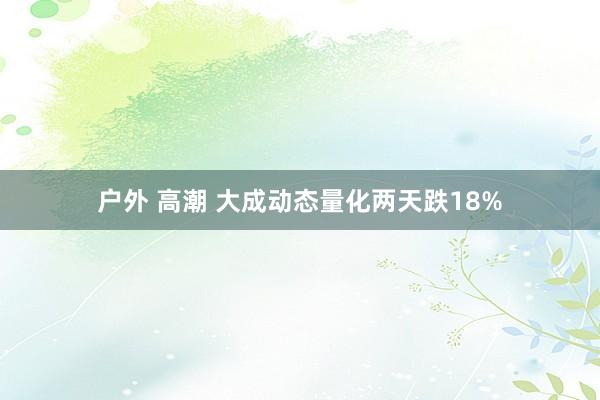 户外 高潮 大成动态量化两天跌18%