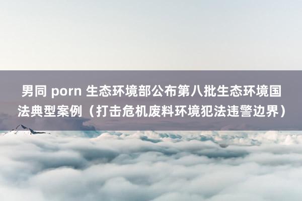 男同 porn 生态环境部公布第八批生态环境国法典型案例（打击危机废料环境犯法违警边界）