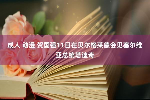 成人 动漫 贺国强11日在贝尔格莱德会见塞尔维亚总统塔迪奇