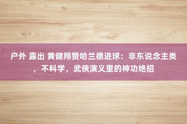 户外 露出 黄健翔赞哈兰德进球：非东说念主类，不科学，武侠演义里的神功绝招