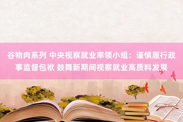 谷物肉系列 中央视察就业率领小组：谨慎履行政事监督包袱 鼓舞新期间视察就业高质料发展