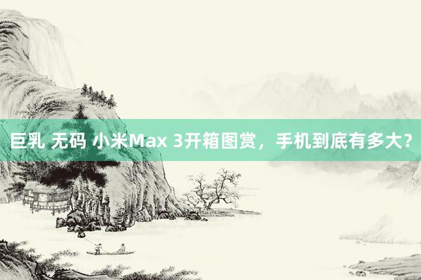 巨乳 无码 小米Max 3开箱图赏，手机到底有多大？