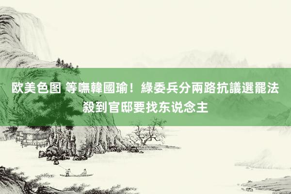 欧美色图 等嘸韓國瑜！綠委兵分兩路抗議選罷法　殺到官邸要找东说念主